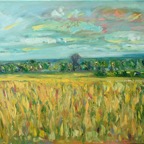 Field1(small).jpg