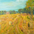 FieldNearMurton.jpg