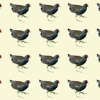 4Moorhen(Wallpaper).jpg