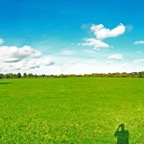 Field1(lay1fewwatermark).jpg