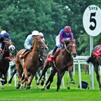 Horses1.jpg