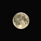 PujaMoon1.jpg