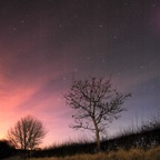 Trees&Plough3.jpg